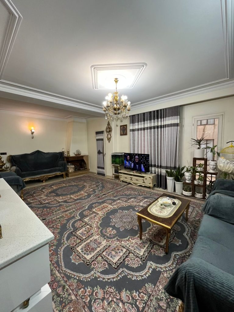 سرمایه گذاری در فردیس