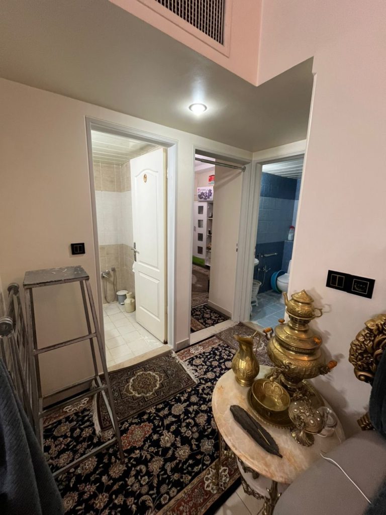 سرمایه گذاری در فردیس